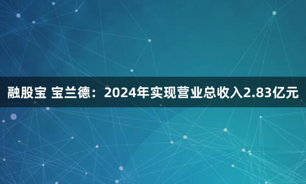 融股宝 宝兰德：2024年实现营业总收入2.83亿元