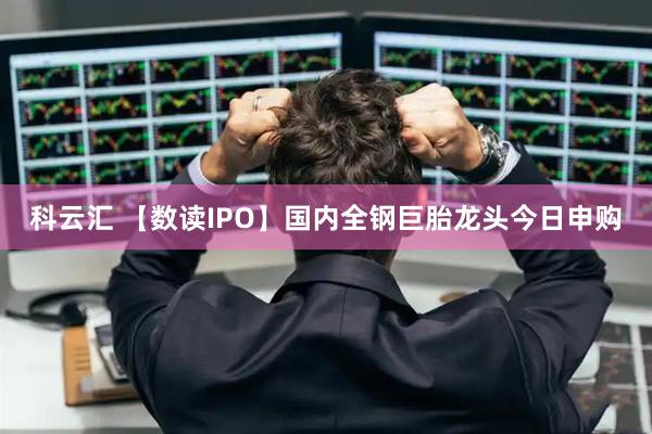 科云汇 【数读IPO】国内全钢巨胎龙头今日申购