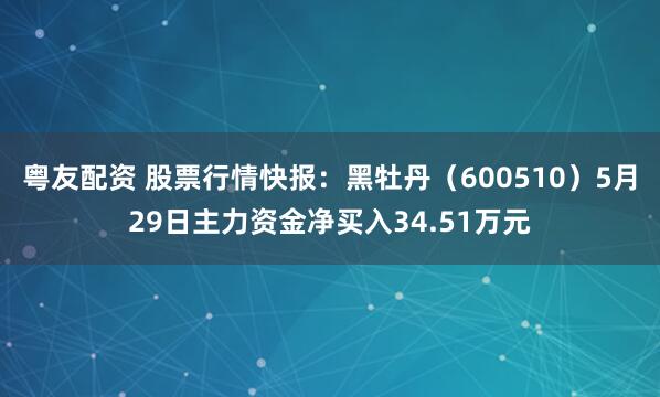 粤友配资 股票行情快报：黑牡丹（600510）5月29日主力资金净买入34.51万元