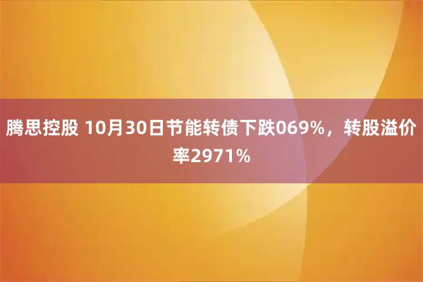 腾思控股 10月30日节能转债下跌069%，转股溢价率2971%