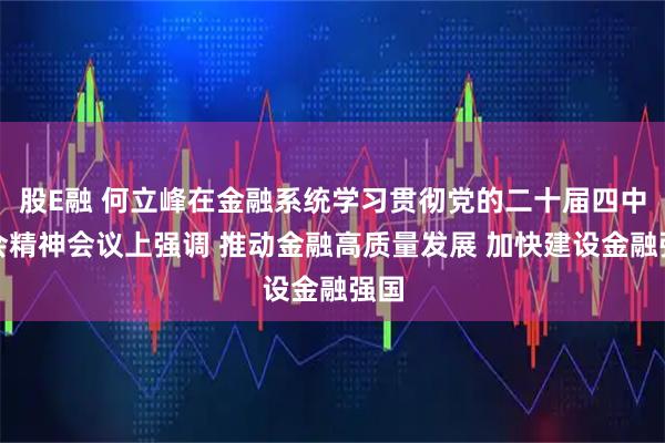 股E融 何立峰在金融系统学习贯彻党的二十届四中全会精神会议上强调 推动金融高质量发展 加快建设金融强国